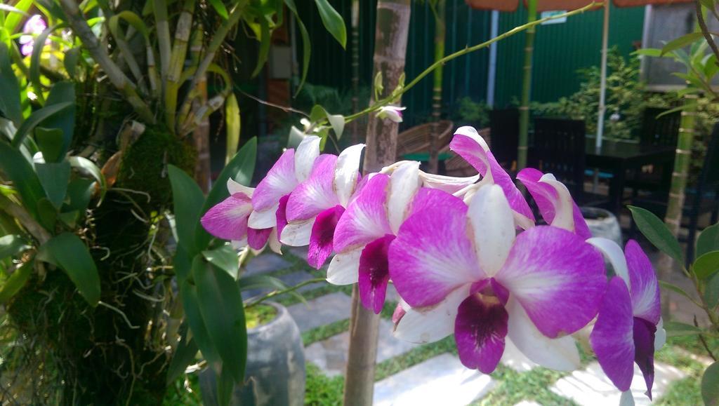 Siem Reap Green Home Guesthouse Εξωτερικό φωτογραφία